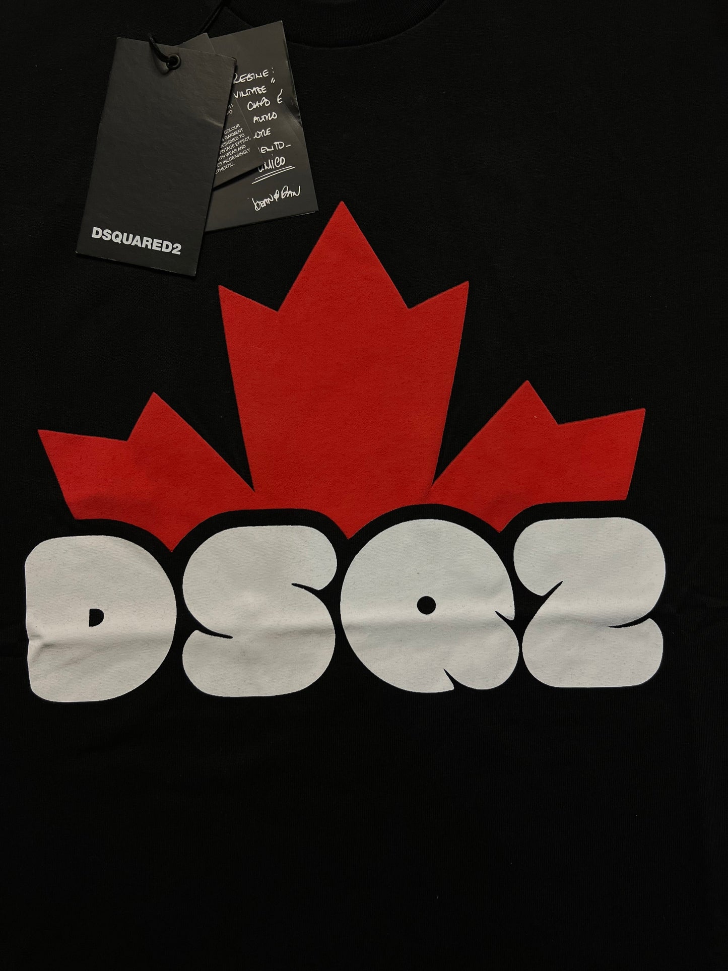 Dsquared2 Crna Majica sa DSQ2 Canadian Printom